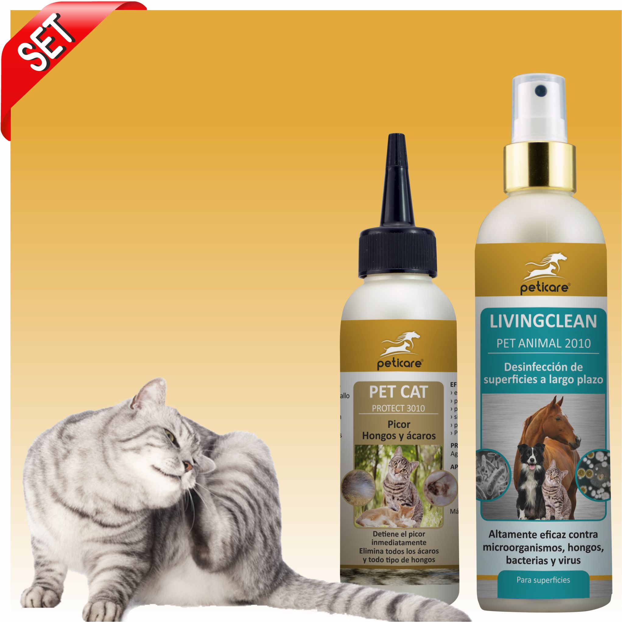 Pilz Und Milben Bei Der Katze Juckreiz Durch Pilzbefall