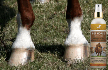To treat mallenders and sallenders correctly To treat mallenders and sallenders correctly